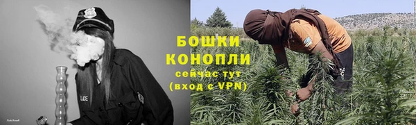 стаф Бугульма