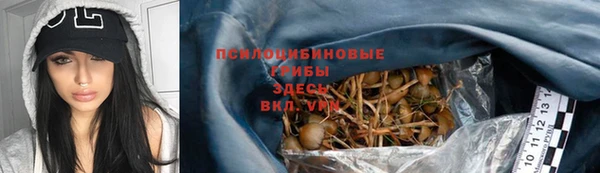 стаф Бородино