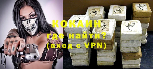 стаф Бородино