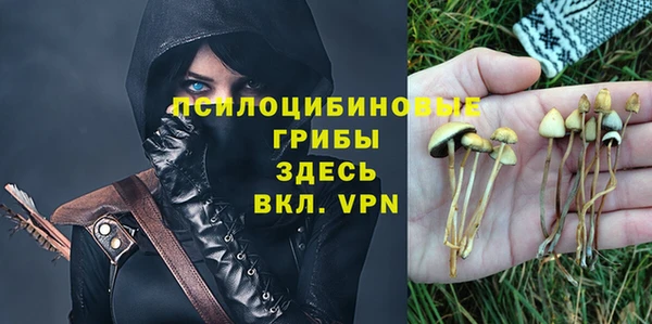 стаф Бородино