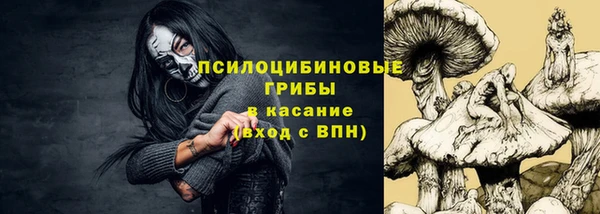 ешки Богородск