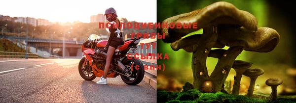 мяу мяу мука Белоозёрский