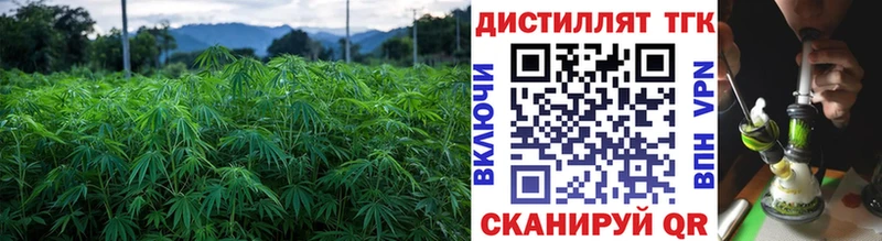 ТГК концентрат Ветлуга