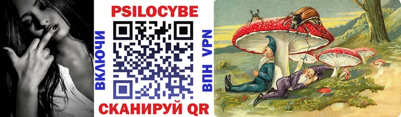 Галлюциногенные грибы мухоморы  МЕГА как войти  Ветлуга 
